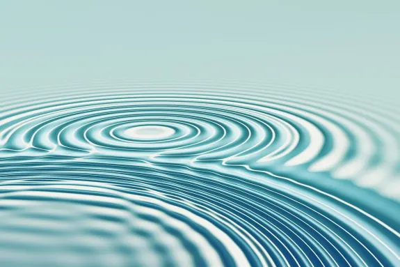 BetBeard Casino Tugi